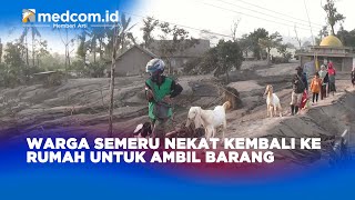 warga semeru nekat kembali ke rumah untuk ambil barang #shorts