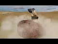 Middle of video
