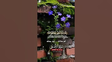 تلاوة خاشعة عطرة مباركة جميلة عذبة للشيخ ماهر المعيقلي ماتيسر من سورة الأعلى