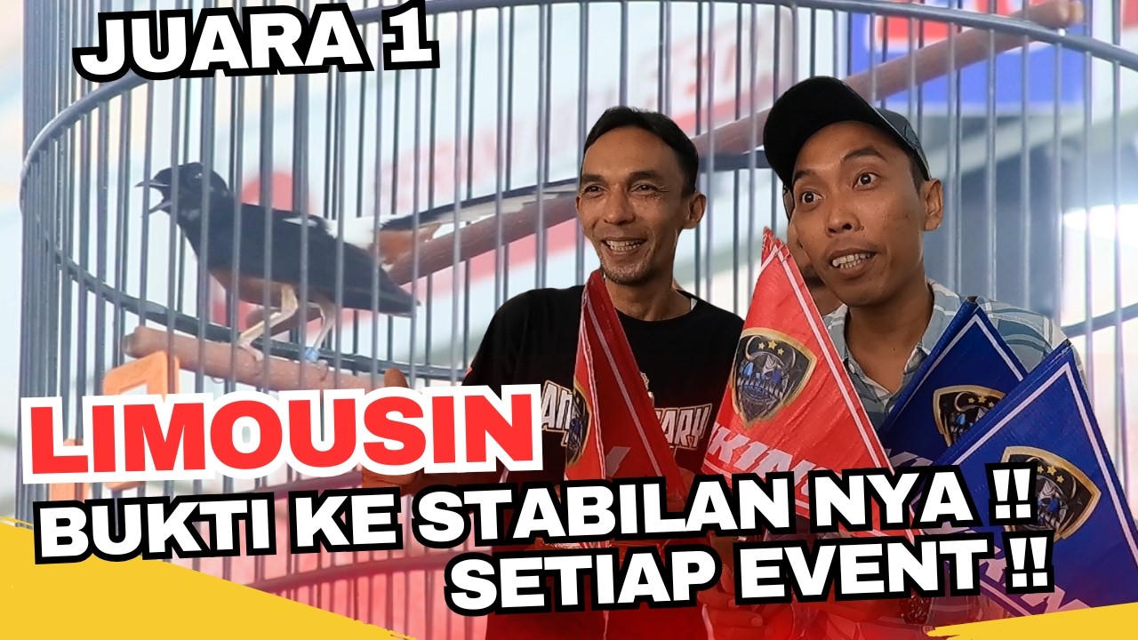 PUKULAN NYA PANJANG !! MB LIMOUSIN RAIH JUARA 1 DI ROYAL KING ARENA !!!