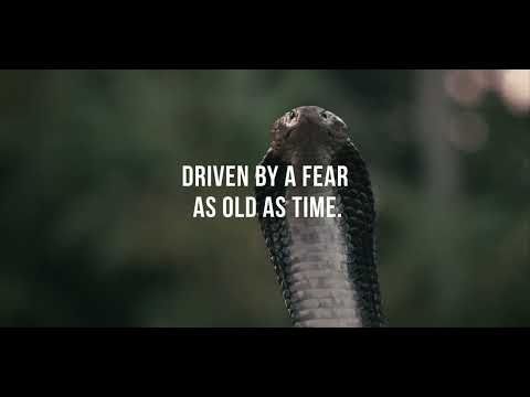 Snakes of Paradise - Official teaser - Documentary movie from Bali