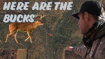 HOW to SCOUT new PUBLIC LAND, (BIG WOODS HILL COUNTRY)