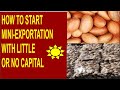 How to become a mini exporter in Nigeria