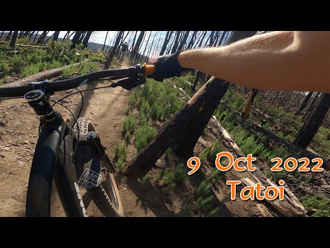 Tatoi Che bike