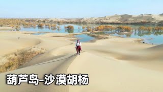 Xinjiang autumn-Huludao desert Populus euphratica! Walking 20 000 steps in the desert to see the sc by 行走世界的北京老刘 1,704 views 2 days ago 12 minutes, 58 seconds