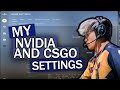 Twistzz - Nvidia and CSGO Settings [2020]
