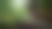 Quanti tipi di grandi labbra ci sono?