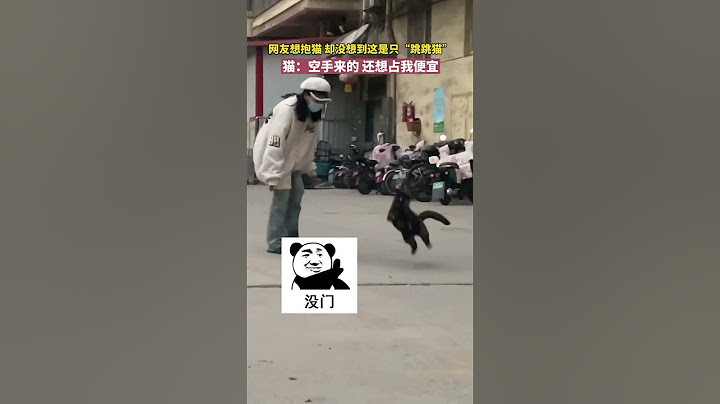 猫：空手来的，还想占我便宜？Cat: You came empty-handed and still want to take advantage of me?