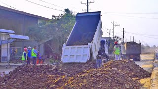 Perfectly strong!! the modern road construction truck dump and big bulldozers for road