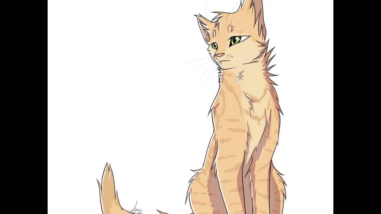 Картинки котов воителей песчаная буря