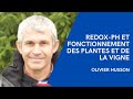 Olivier husson 37  redoxph et fonctionnement des plantes et de la vigne