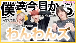 TXT日本語字幕】今日から僕達はわんわんズです‼️🐶 - YouTube