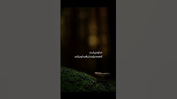 ترجمه سوره اخلاص به دوبله فارسی #خدا #duet #الاکرام #قرآن #شعر #دین #sad #السلام #ترند #قران_كريم
