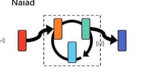 Naiad in one simple diagram