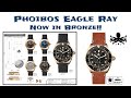 New Phoibos Eagle Ray - Now in Bronze!!