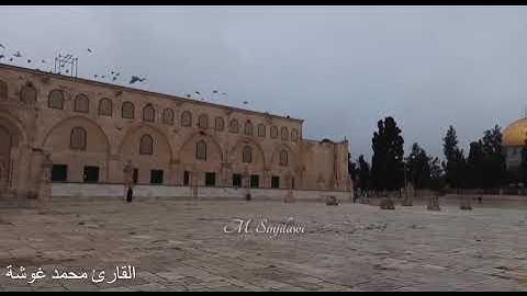 وصايا لقمان لابنه - سورة لقمان / القارئ محمد  غوشة / تلاوة هادئة Suret Luqman