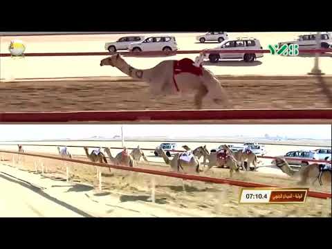 الشوط 18 الشمالي لـ مطر علي الكتبي جائزة زايد الكبرى الجمعة 2018 12 7 الوثبة ايذاع