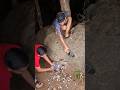 angkeremin di dalam luban#video#viral