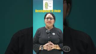 Development Of Ovule #cbse#biology#ncert#neet#class12#shorts#reels#neetaspirant#bio