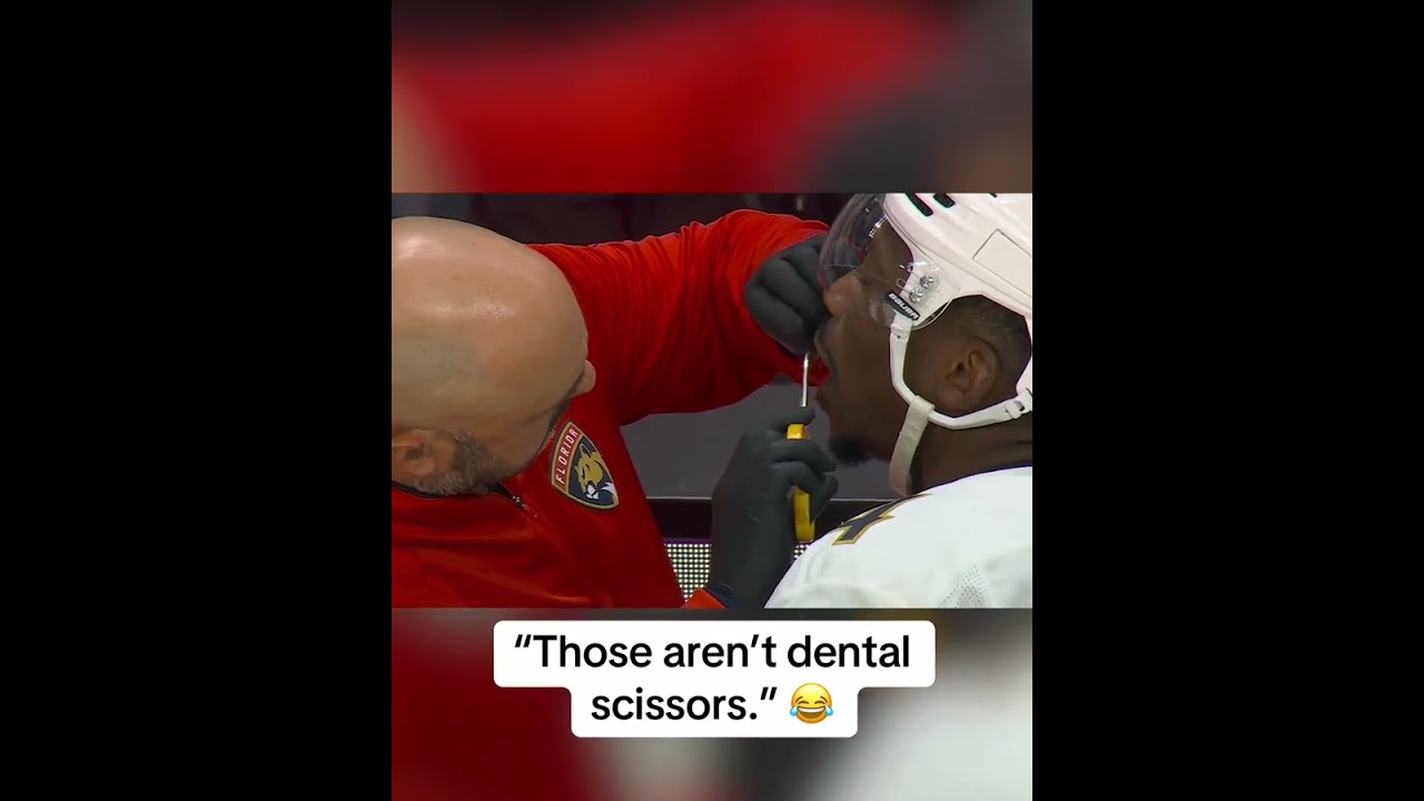 Dental work on the bench 😅