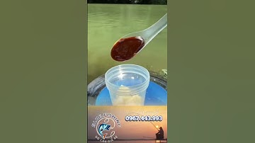 Mẹo làm mồi câu cá chép đơn giản