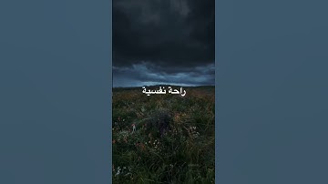 تلاوة خاشعة إسلام صبحي #قرآن #المصحف #تلاوة_خاشعة #قران_كريم