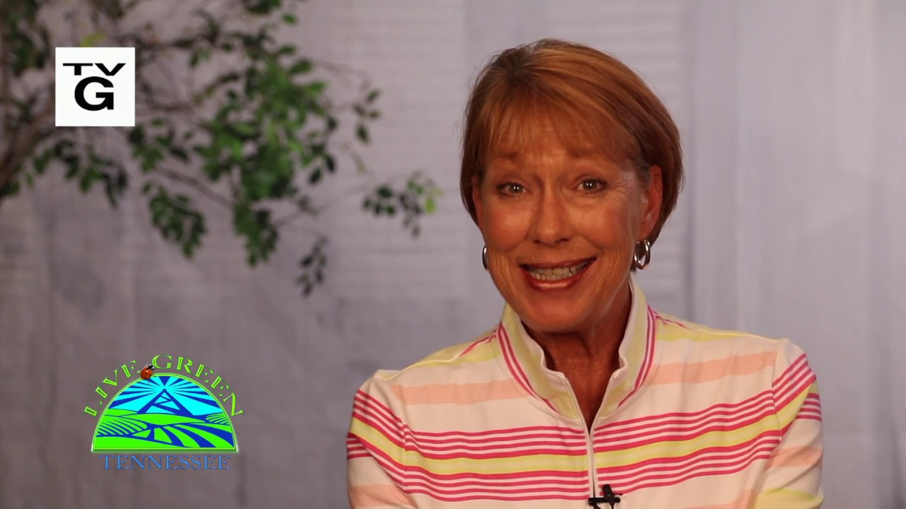 Live Green Tennessee | Season 12, Episode 3