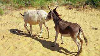 First Time And Meeting 2025 ...