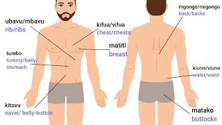 Swahili for Beginners: HUMAN BODY PARTS IN SWAHILI
