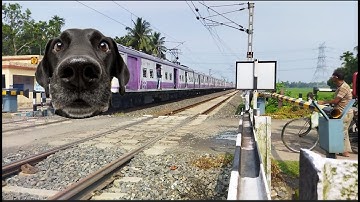 Dangerous DOG Headed Katwa Local Train Furious Moving Throughout At Railgate