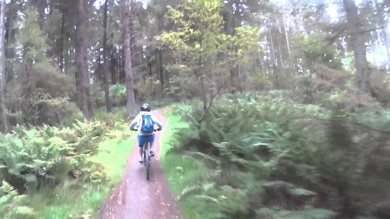 glentress mtb
