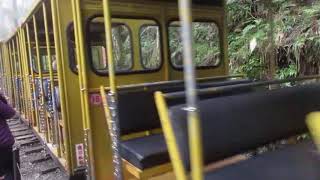1061001太平山碰碰車(2)