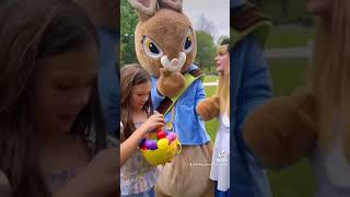 Easter Brunch with Peter Rabbit 2023 Profile