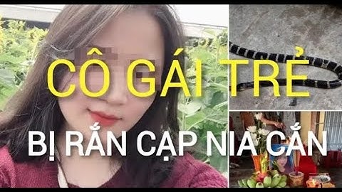 Đang ngủ, Cô Gái bị rắn Cạp Nia bò vào phòng cắn tử vong