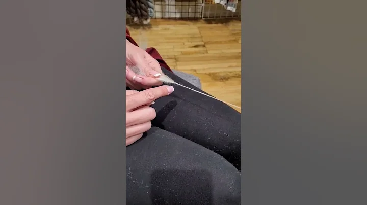 Ingrid's spinning tip for inconsistent drafting.