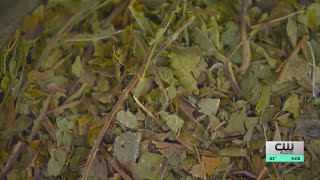 Austin sober living house warns about kratom use