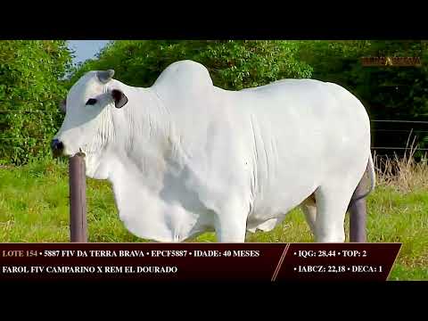 LOTE 154   EPCF 5887