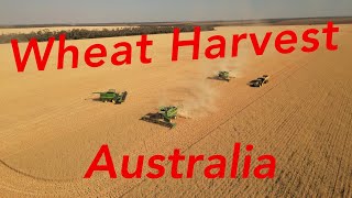 Australian Wheat Harvest 2023 QLD