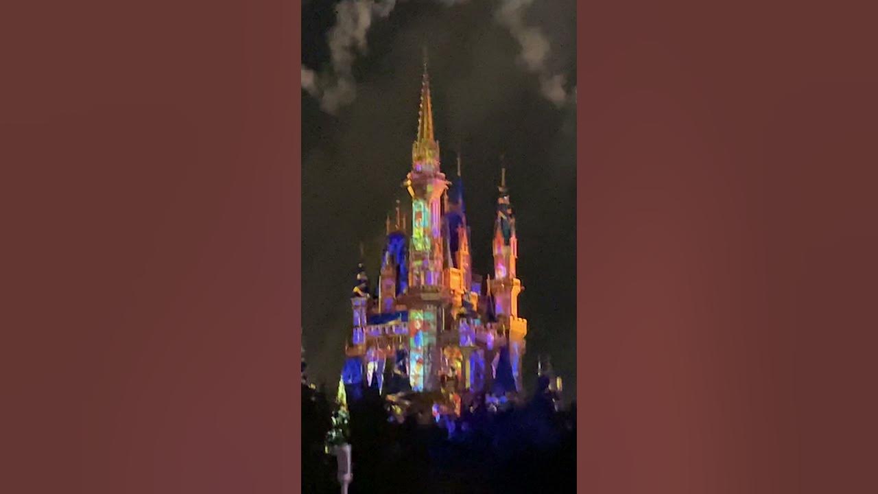🧚 Tinkerbell zip line closeup at Disney’s Magic Kingdom Happily Ever