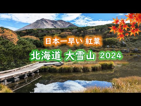 【4K 北海道 2024年】大雪山・旭岳に登って 紅葉を楽しんできた！