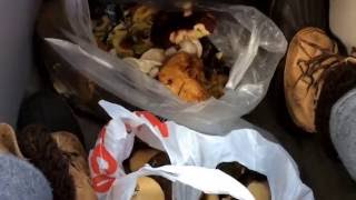 США. Mushrooms hunting