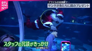 【ブラジルの水族館】サンタが魚たちに餌のプレゼント