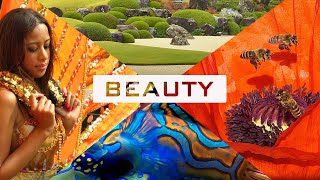 Download lagu Rupert Sheldrake Why is there so much beauty in the world Rupert Sheldrake Why is there so much beauty in the world