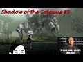 Zne shadow of the colossus 3  a me de agro