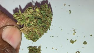 A Tanzania Landrace That Tastes Like Pine! 