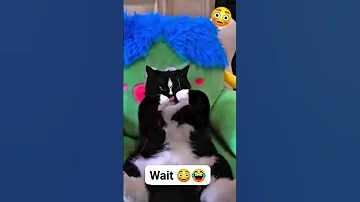 انظر إنه يقلدني آيضا Beiruting Therahal Funny لايك واشتراك احمد دخان 