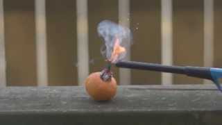 Exploding Fruit Super Slow Motion