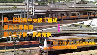 JR中央線E233系T編成、八王子駅~高尾駅車内左窓動画
