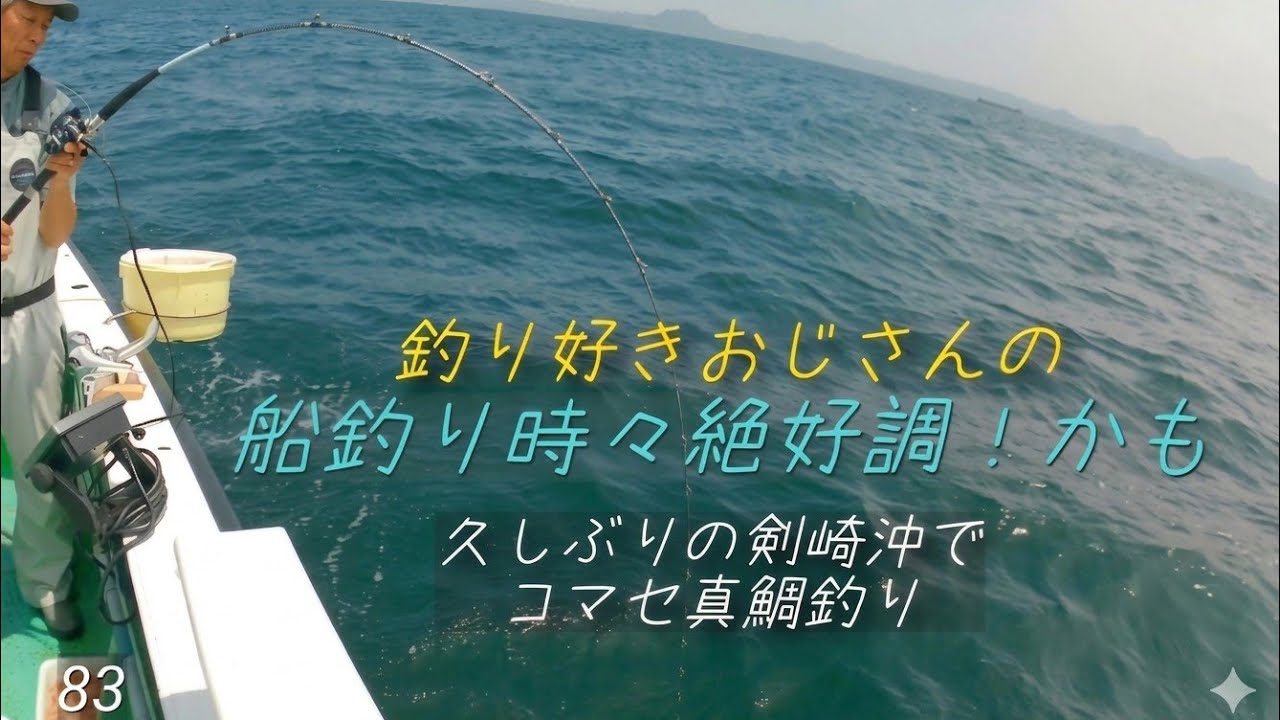 2026年5月19日 剣崎沖でコマセ真鯛。乗っ込み、アフター入り混じって魚