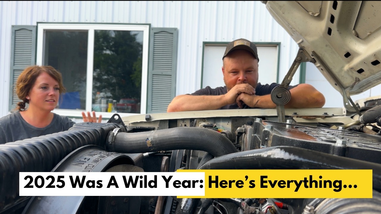 Год на ферме: итоги 2025 года